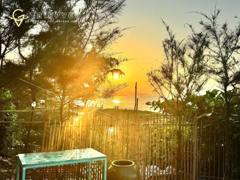 Sắc Nhiệt Đới