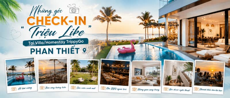 Những góc Check-in 